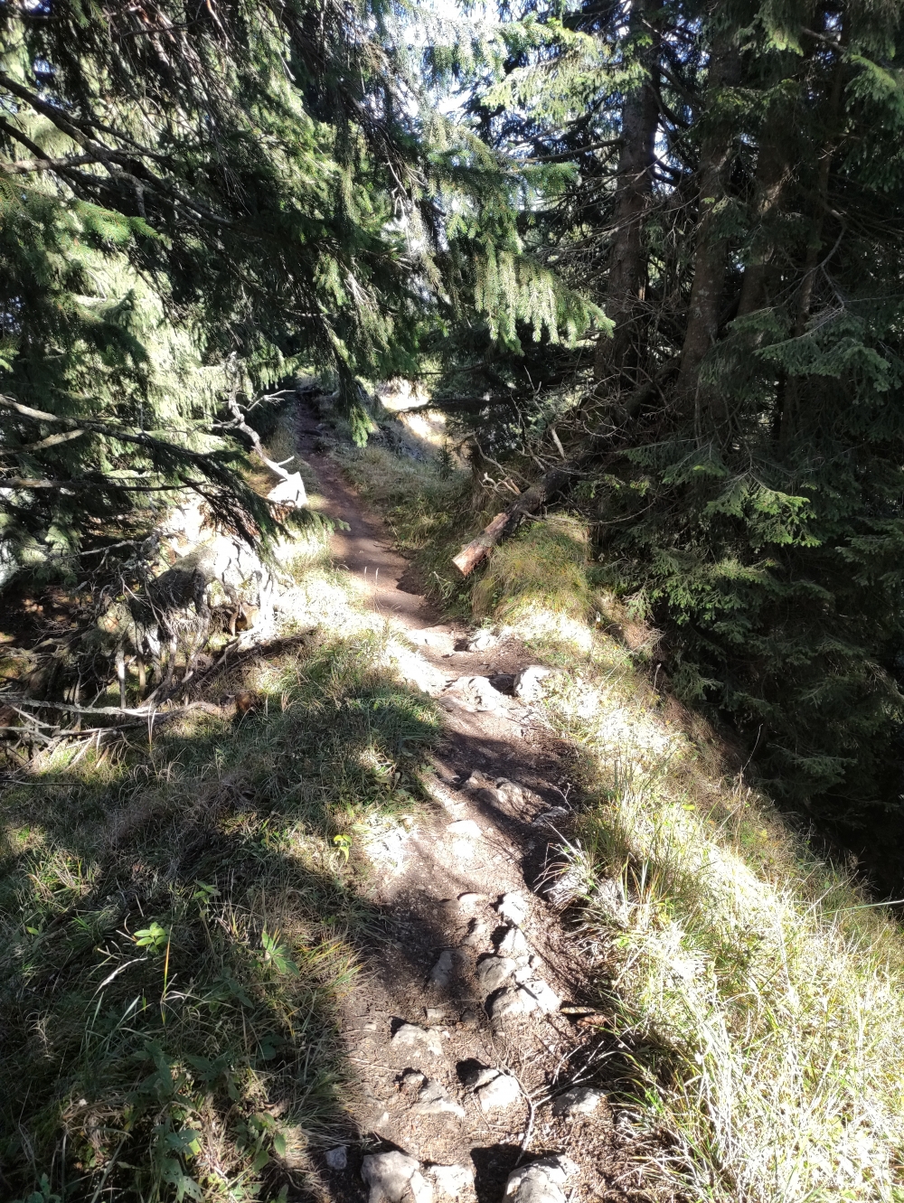 Wanderung Schartenkopf: Weg