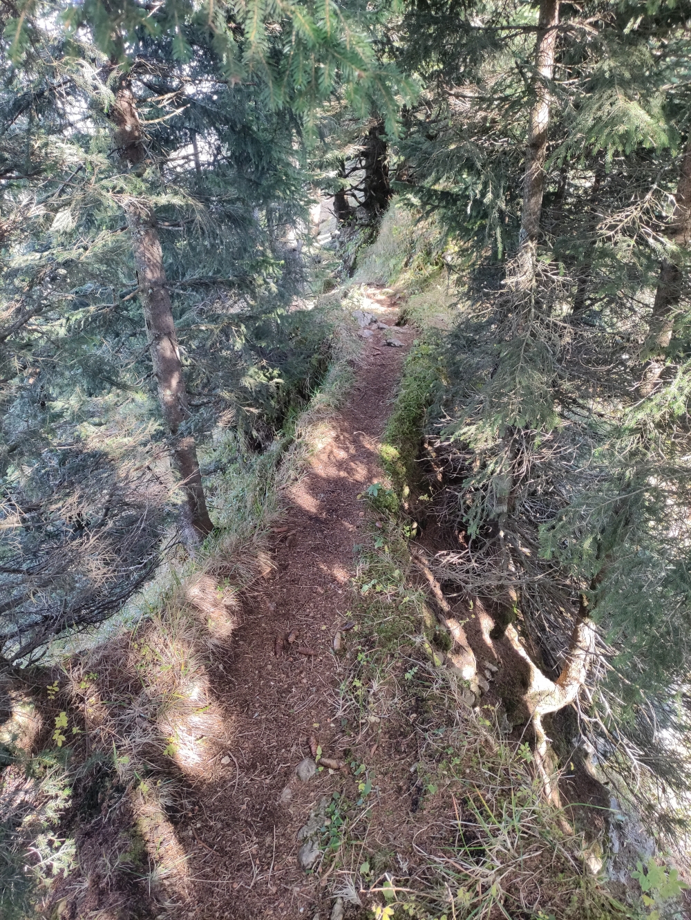 Wanderung Schartenkopf: Kurzer, schmaler Grat