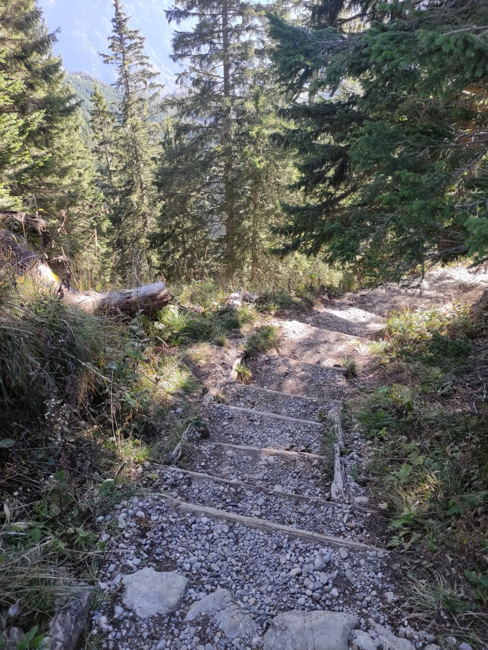 Wanderung Latschenköpferl zum Schoberwaldkreuz: Weg