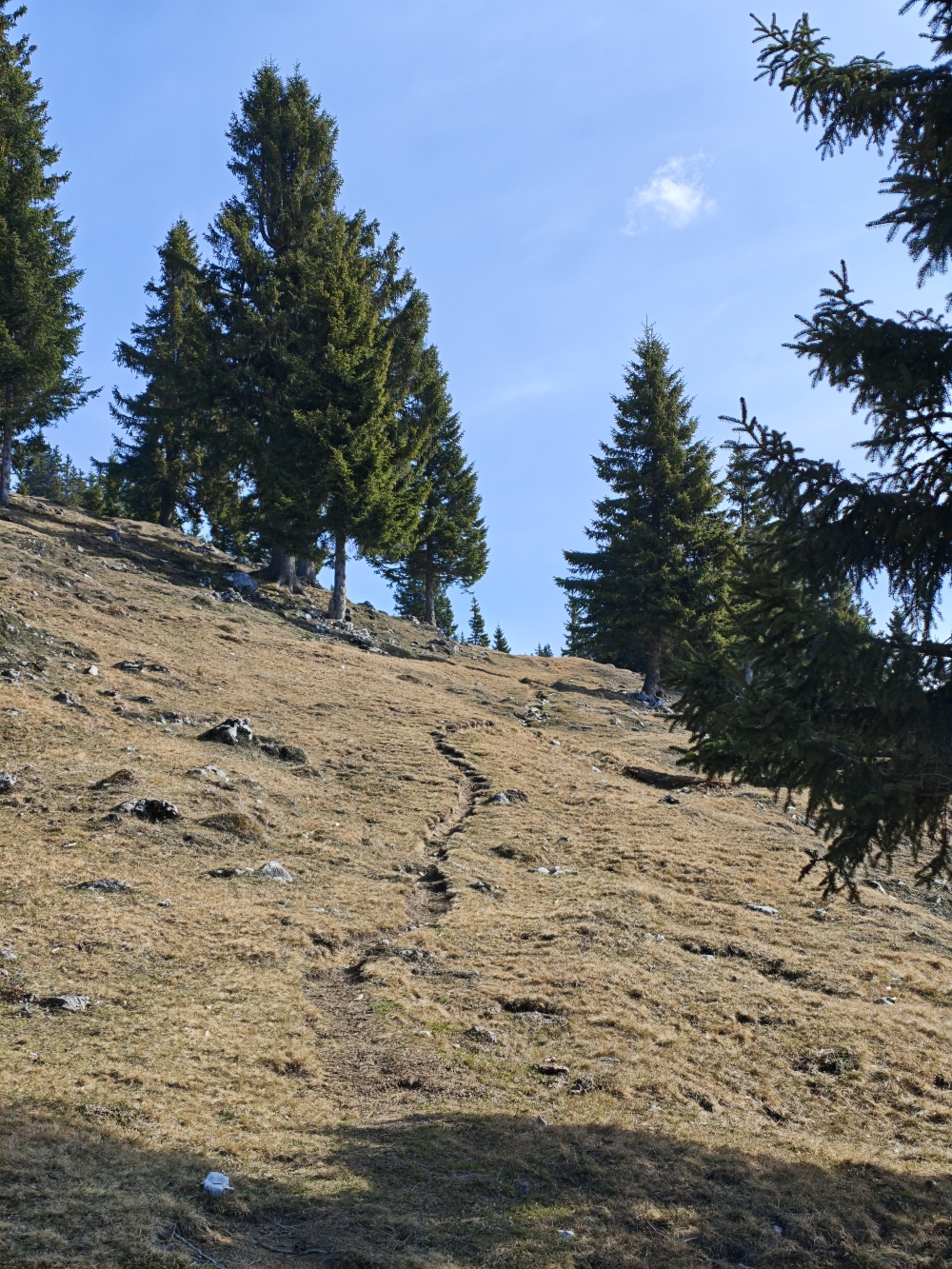 Bike & Hike Sonnwendwand: Aufstieg