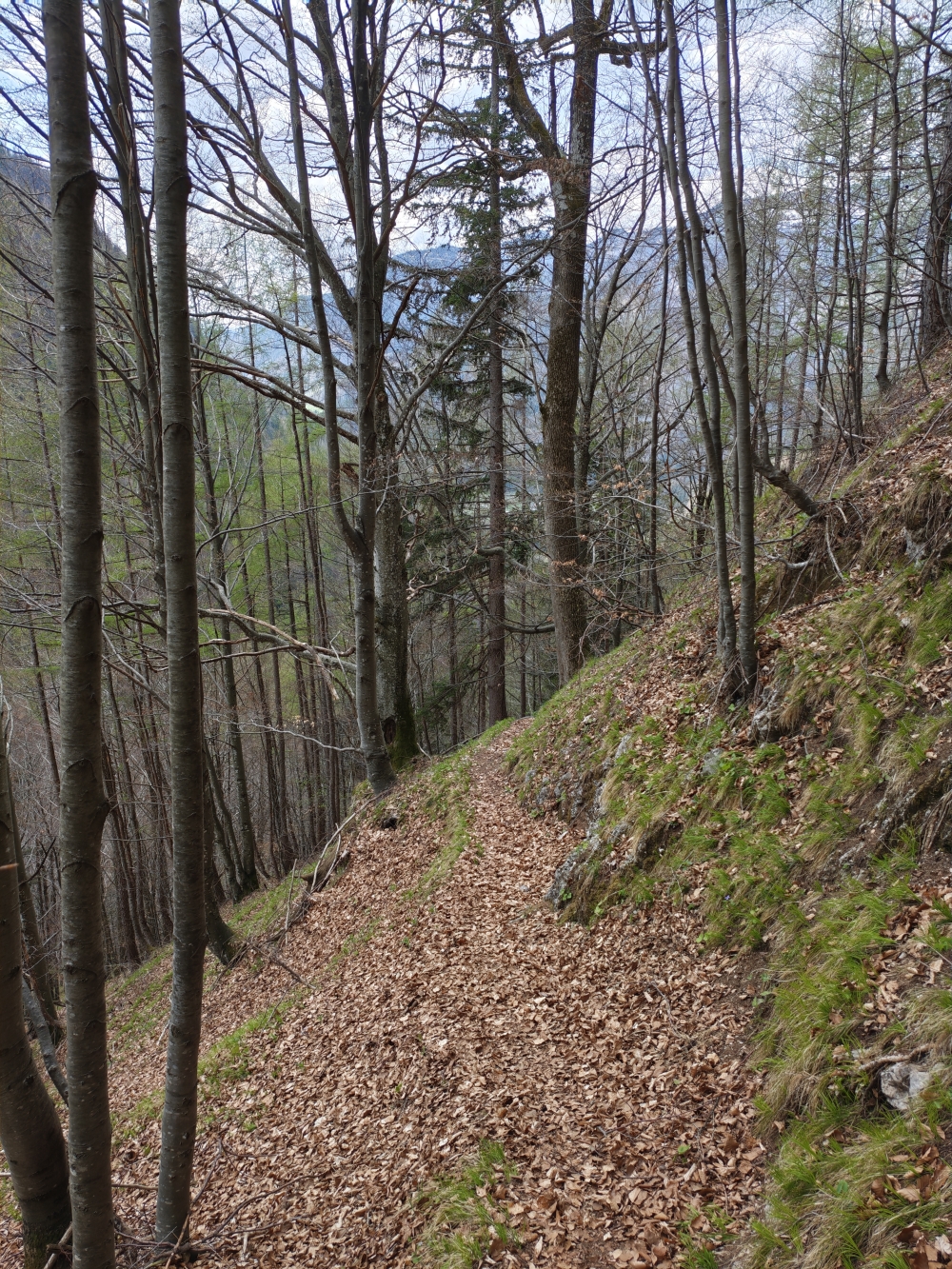 Wanderung Scheibenwand: Abstieg 