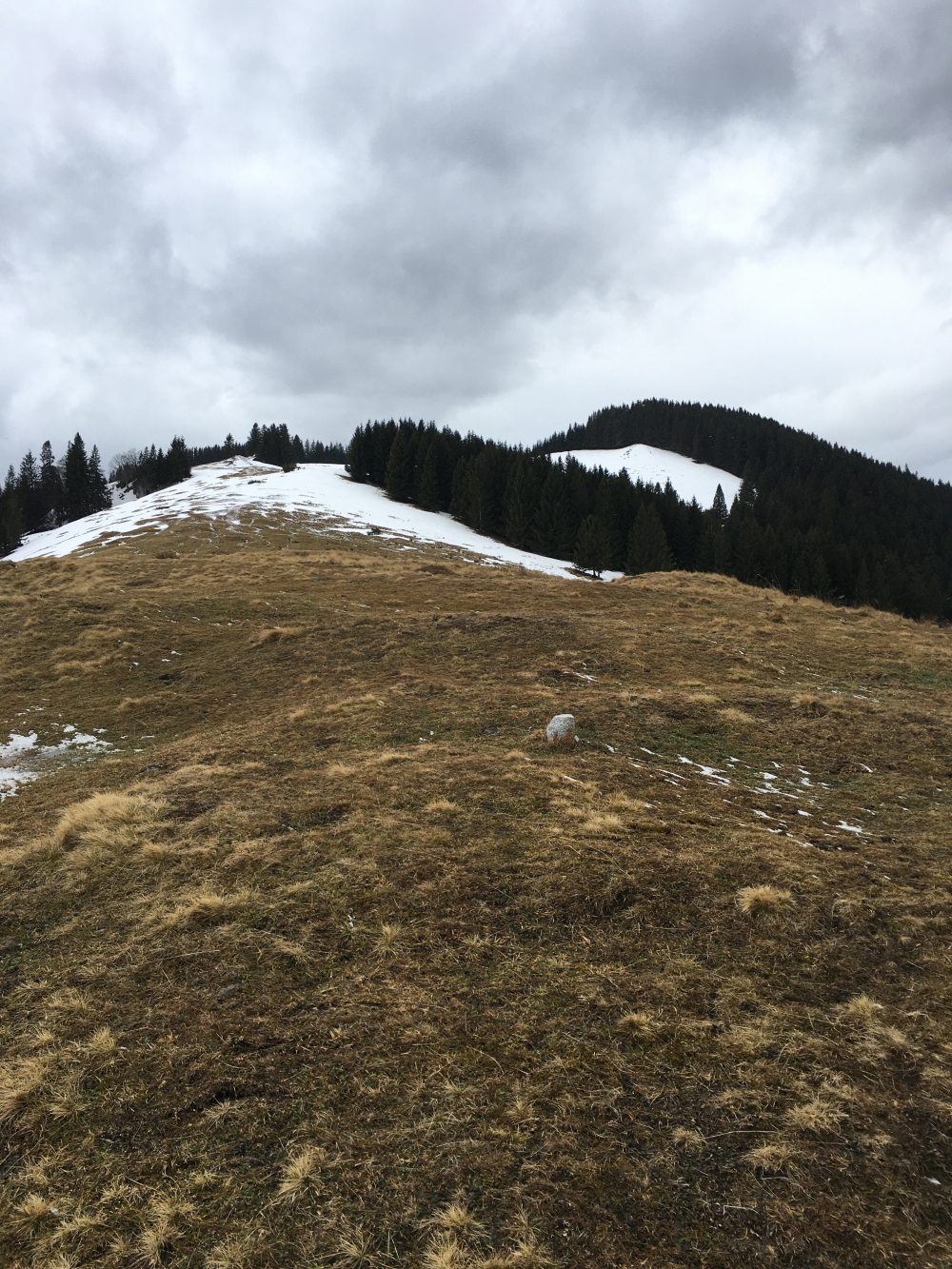 Wanderung Große Riesenkopfrunde: Wanderung Große Riesenkopfrunde: Nur eine Bodenmarkierung zeigt den Gipfel (Scheibling)