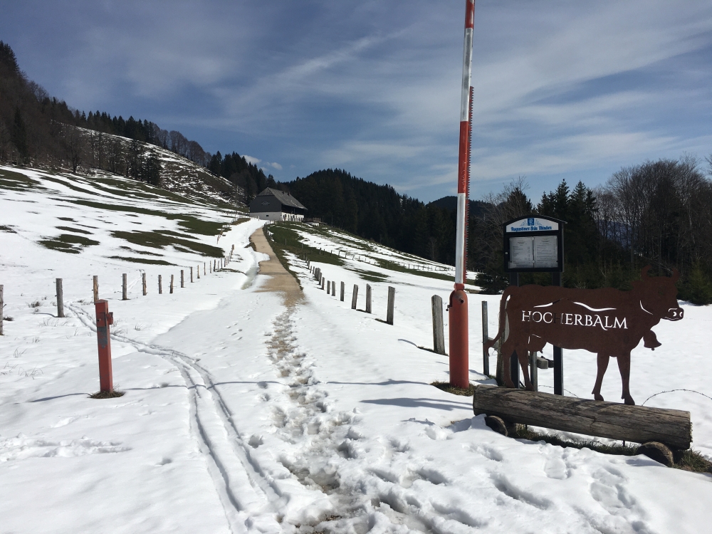 Wanderung Scheichenberg von Blickner Alm: Hier biegt man zur Hocherbalm ab