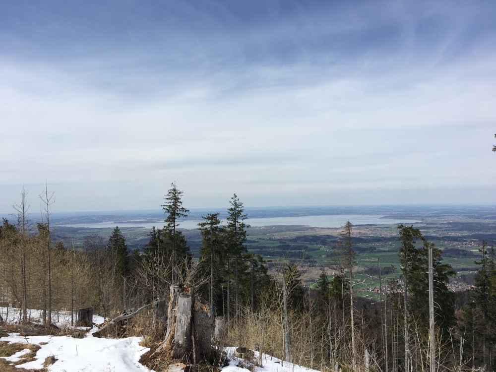 Wanderung Scheichenberg von Blickner Alm: Wanderung Scheichenberg von Blickner Alm: Blick auf den Chiemsee (Scheichenberg)