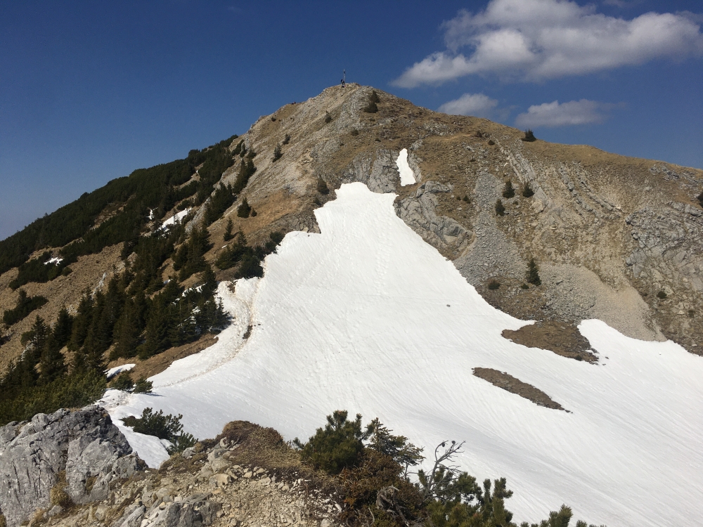 Wanderung Scheinbergspitz: Die letzten Meter zum Gipfel