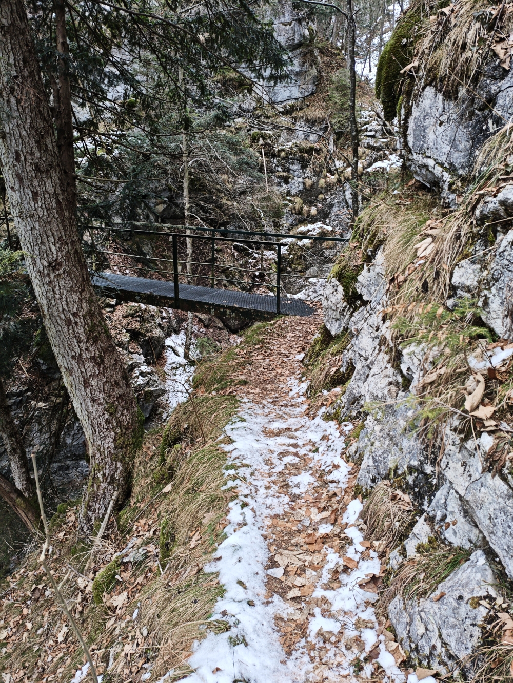 Wanderung Schellkopf: Brücke 