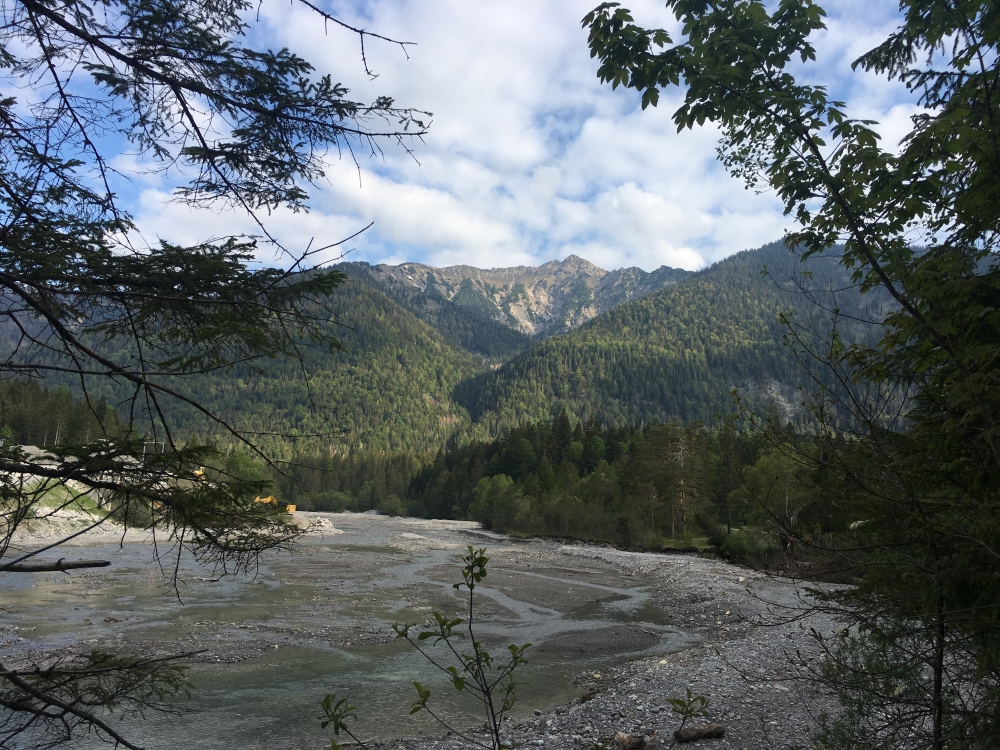Wanderung Schellschlicht: Wanderung Schellschlicht:  (Schellschlicht)