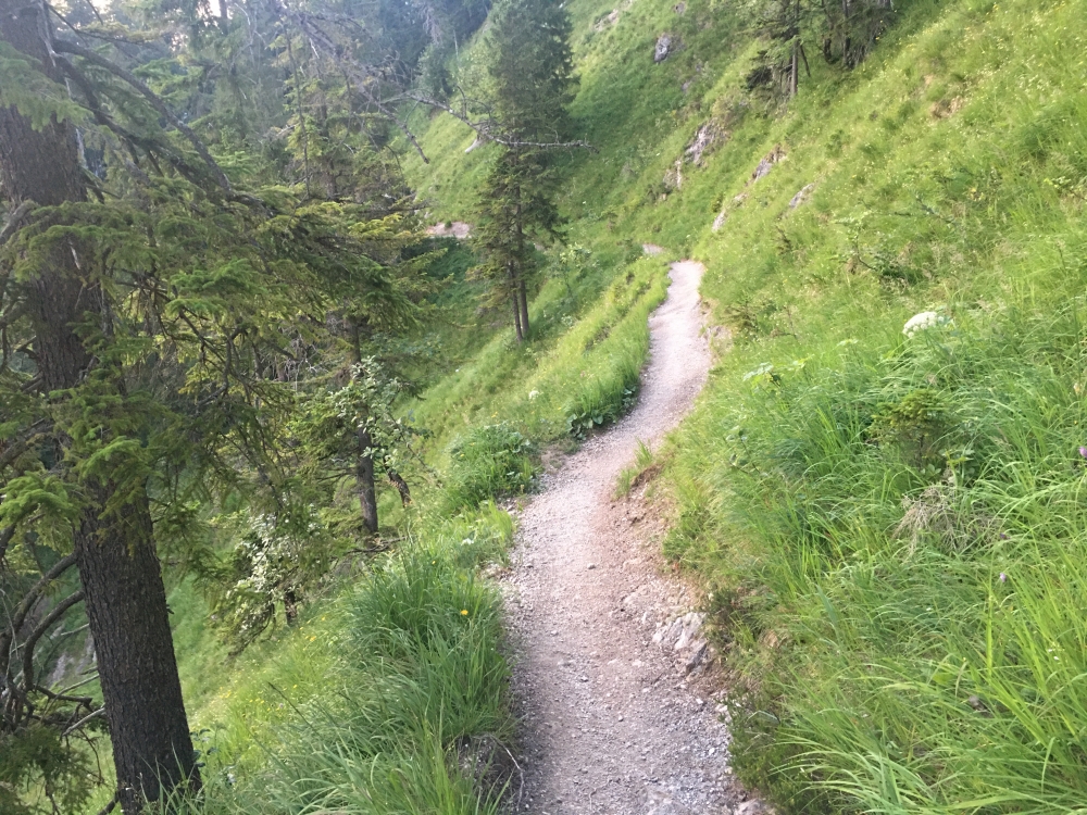 Wanderung Schildenstein: Zwischen Geißalm und Parkplatz