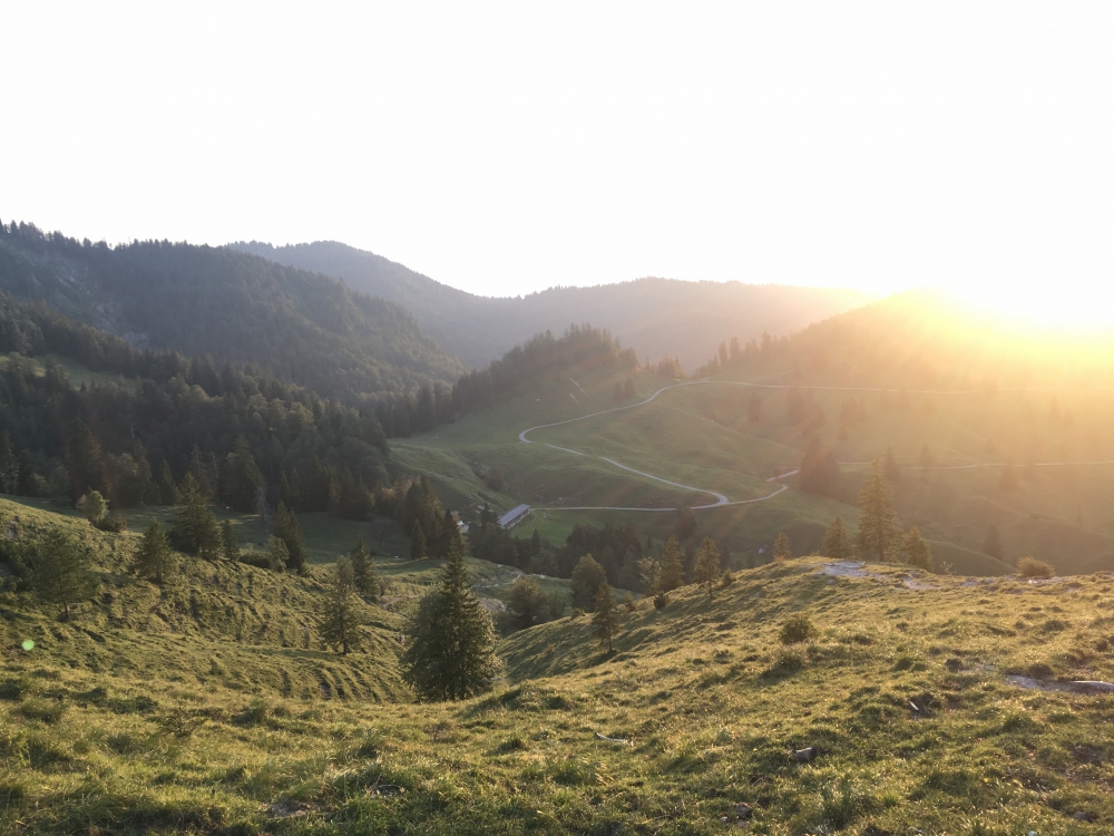 Wanderung Schildenstein: Blick auf die Königsalm