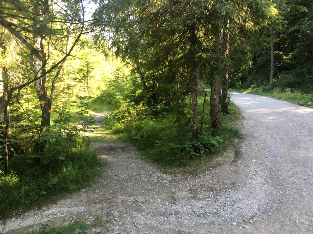 Wanderung Schildenstein: Am Bach entlang oder auf der Forststraße zur Siebenhüttenalm