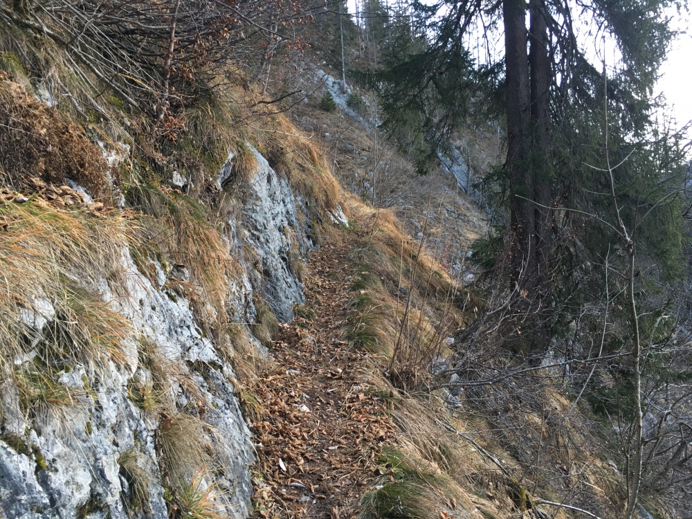 Wanderung Schlösselschneid vom Lödensee: Im unteren Teil noch klar erkennbar