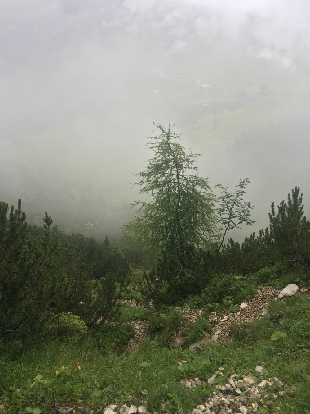 Wanderung Veitsbergkamm: Wanderung Veitsbergkamm: Steil durchs Fuchsloch