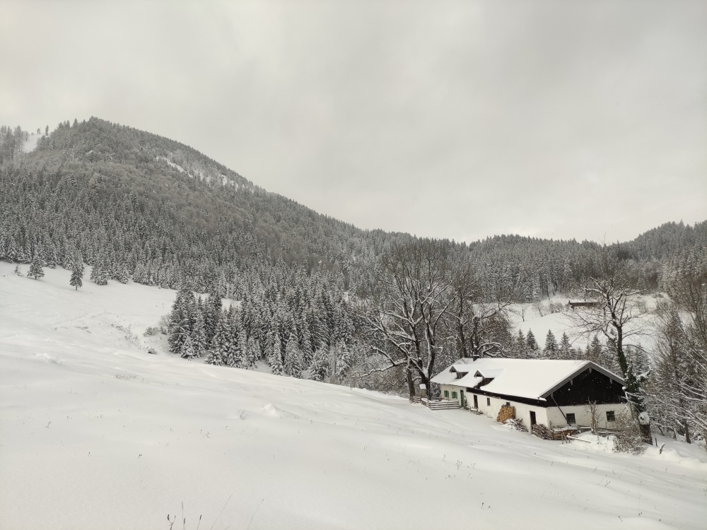 Schmiedalm: Schmiedalm im Winter