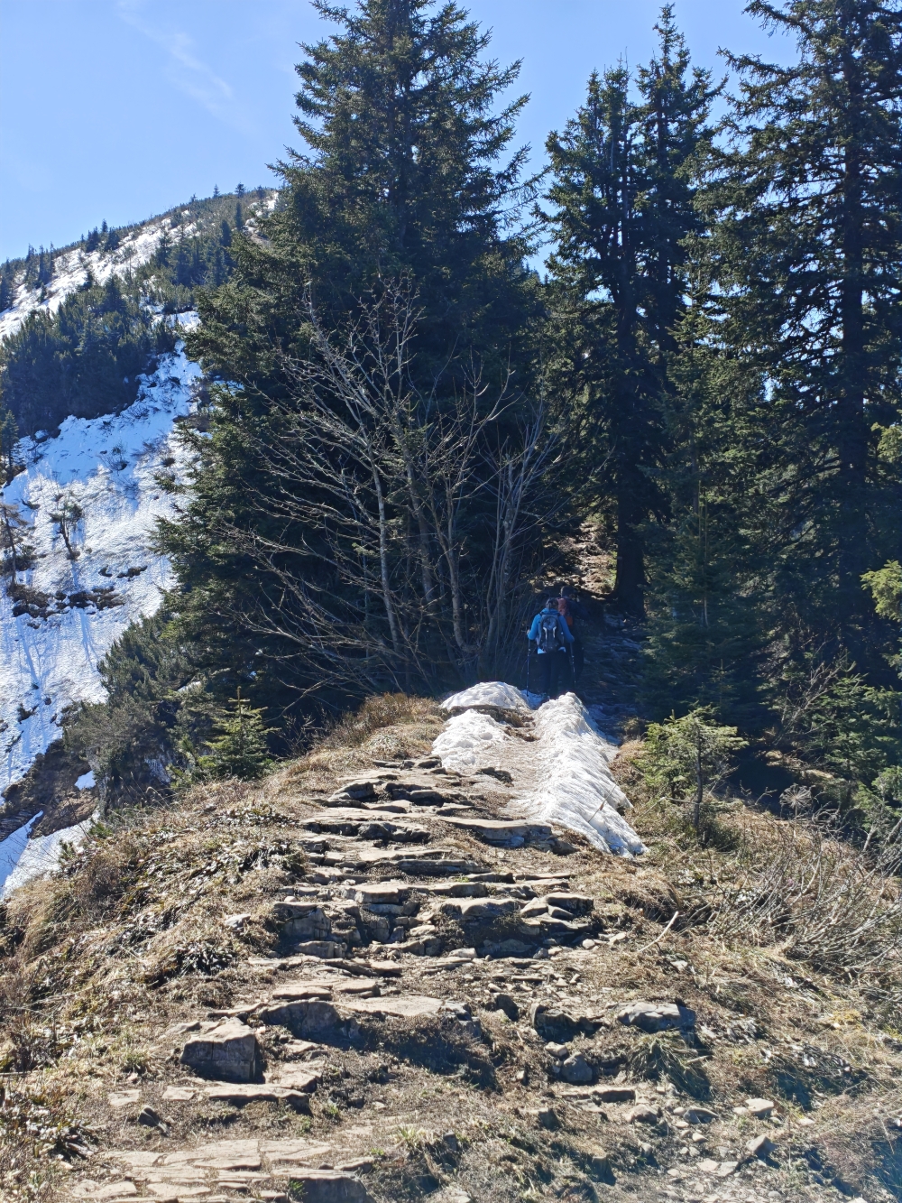 Wanderung Schmittenstein: Aussichtsreiche Kammwanderung 
