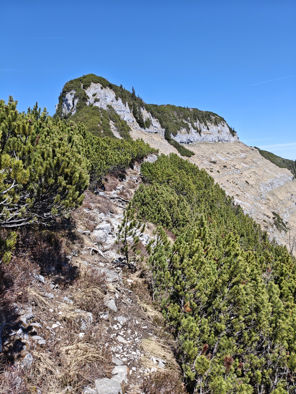 Wanderung Schmittenstein: Blick zum Gipfel 