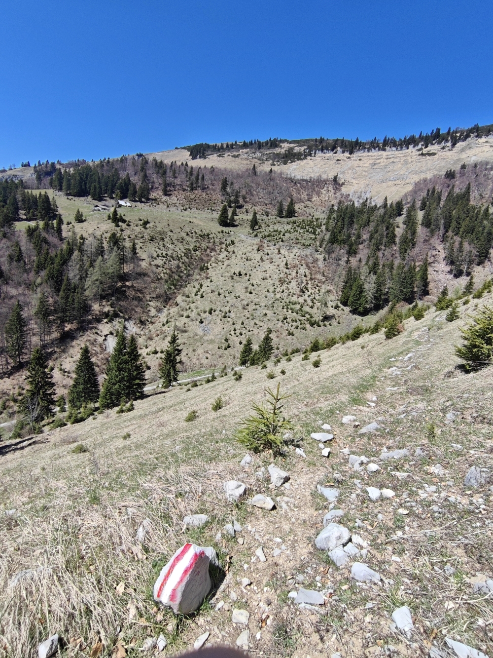 Wanderung Schmittenstein: Die Tenneralm unter dem Schlenken 