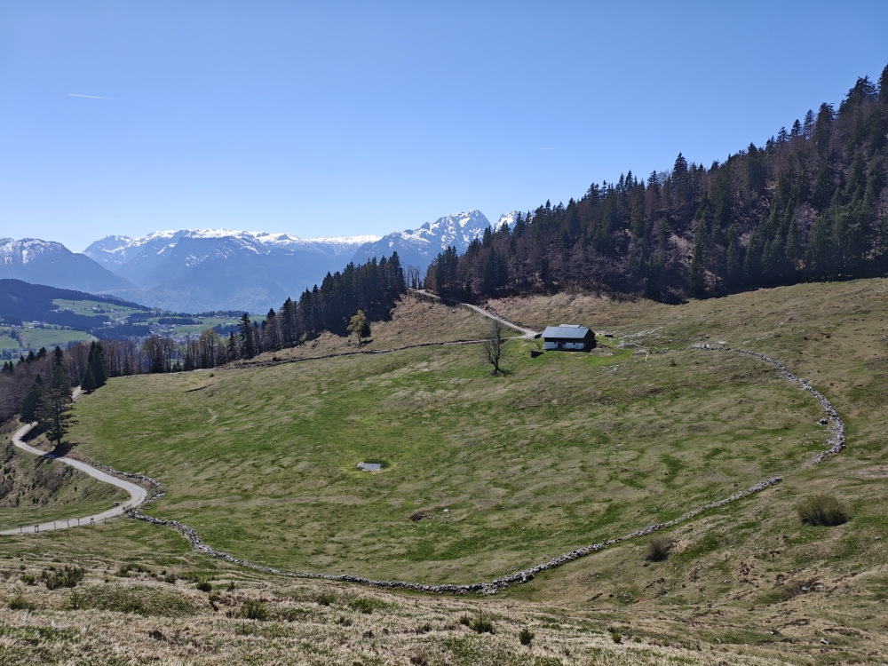Wanderung Schmittenstein: Almwiesen der Nigelkaralm