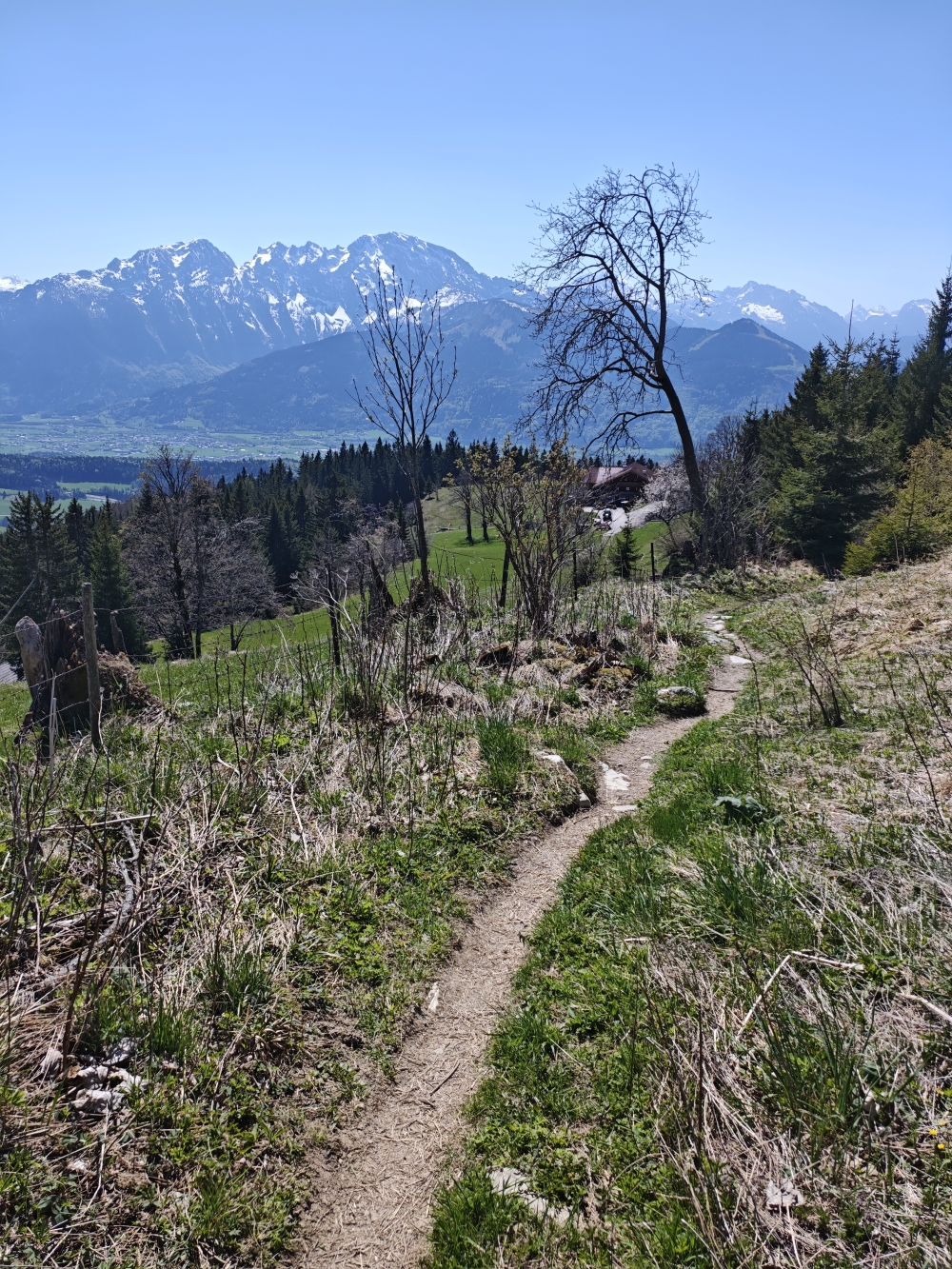 Wanderung Schmittenstein: Abstieg über Wallmanreith
