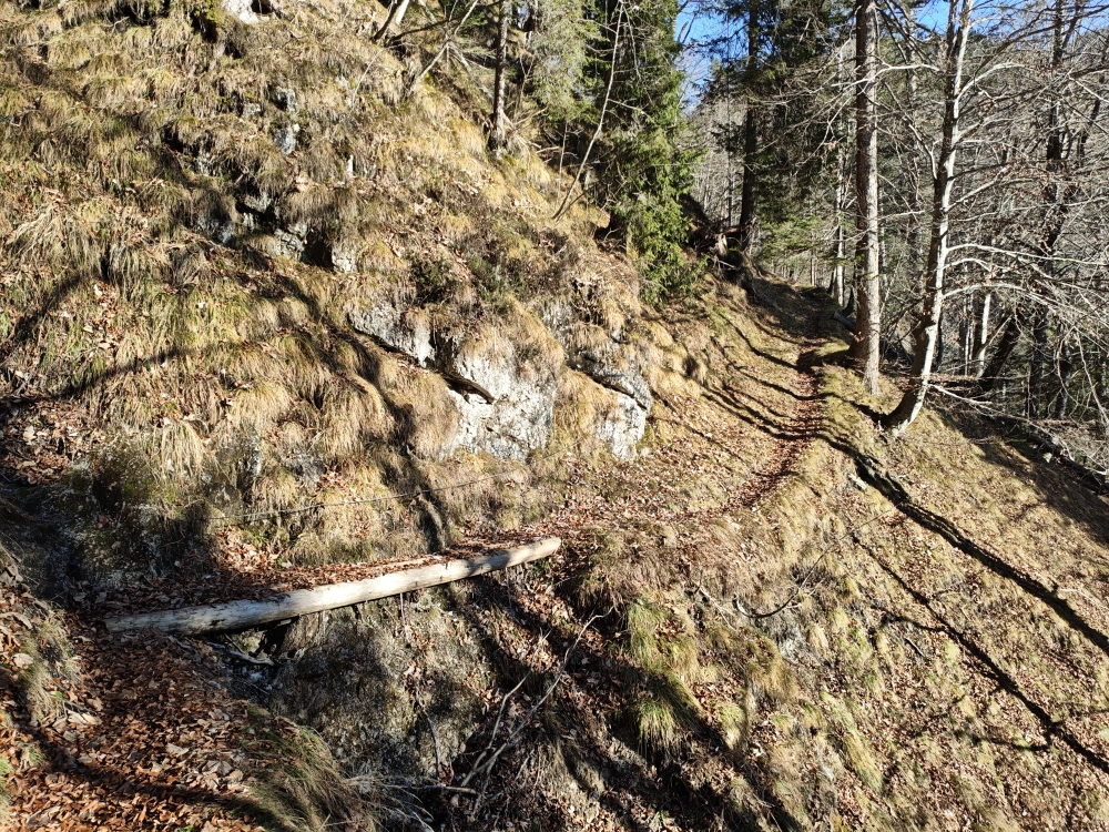 Wanderung Teufelskanzel: Brücke mit Seil