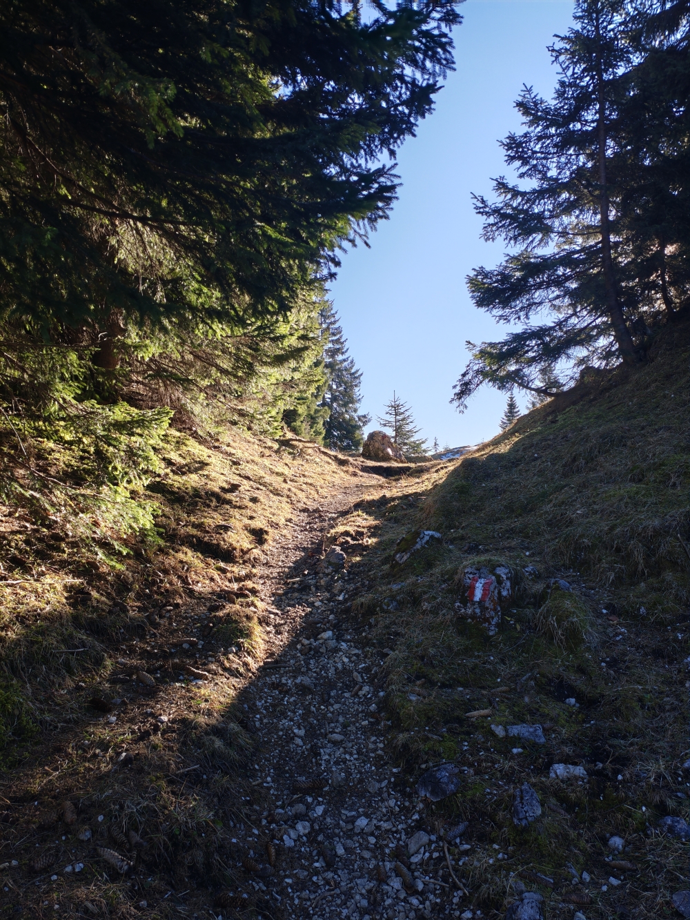 Wanderung Schnappenstein: Wanderung Schnappenstein: Weg