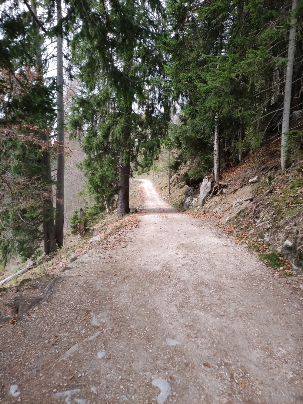 Wanderung Schneibstein und Windschartenkopf: Von und zur Mittelstation