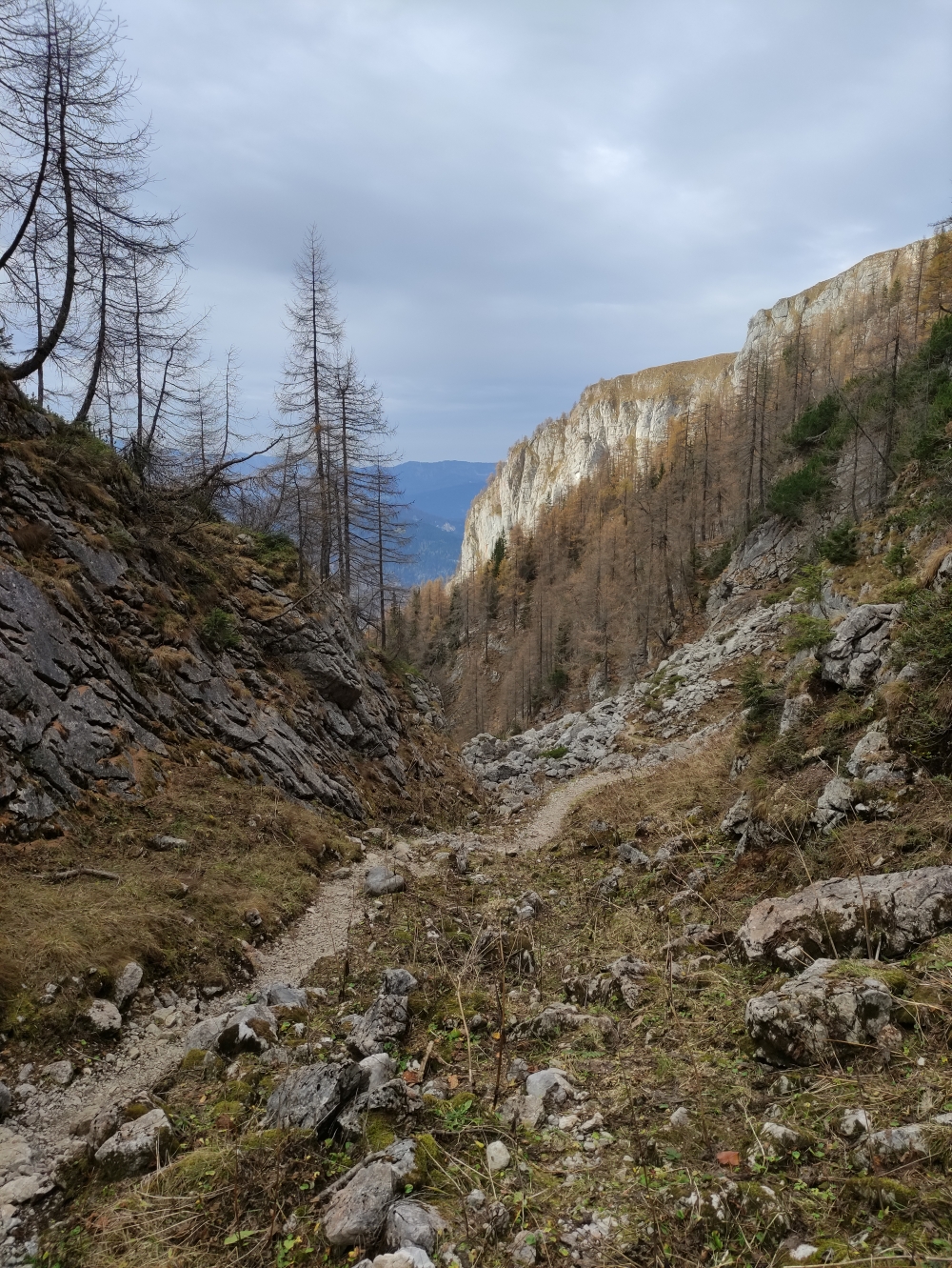 Wanderung Schneibstein und Windschartenkopf: Weg