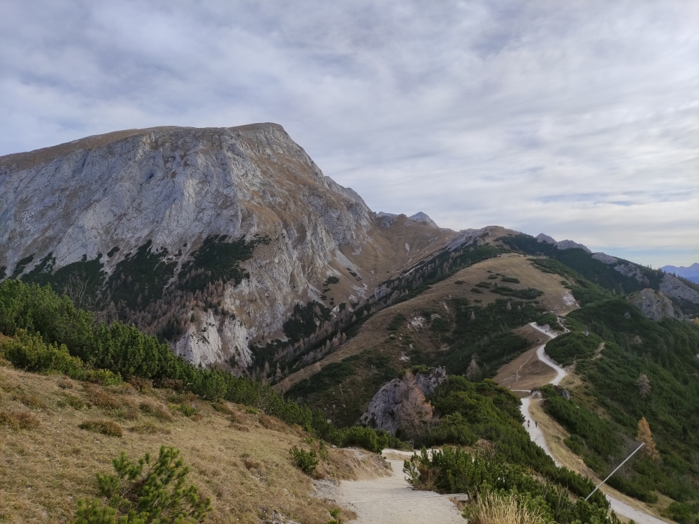 Wanderung Jenner: Wanderung Jenner: Weg