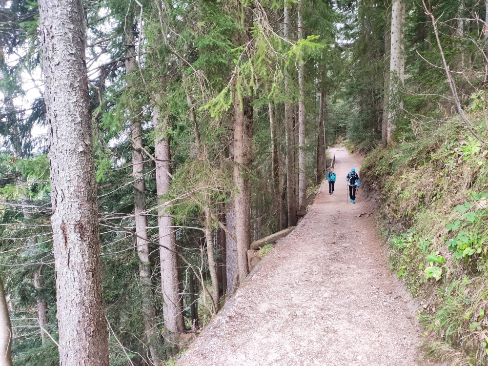 Wanderung Schneibstein und Windschartenkopf: Weg