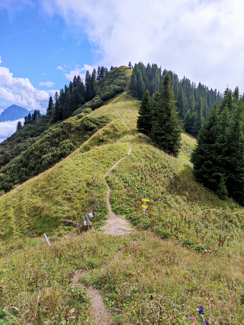 Wanderung Gaichtspitze bis Schneidspitze: Weg vom Ditzel zum Hochjoch