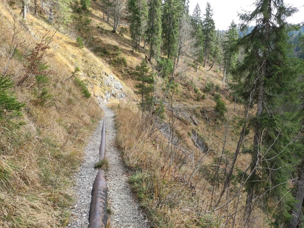 Wanderung Schönberg: Gleichmäßiges Gefälle dank der ehemaligen Rohrleitung