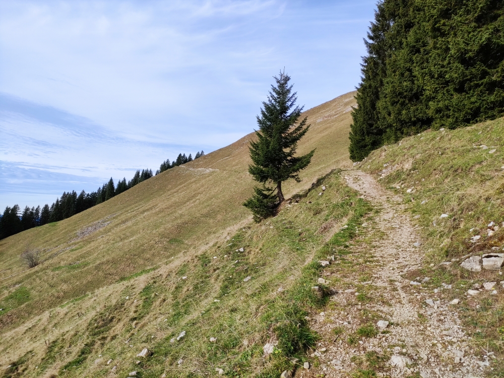 Wanderung Schönberg: Weg