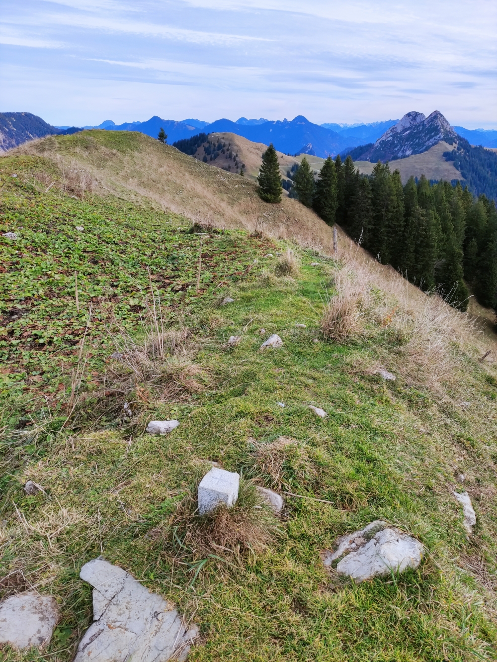 Wanderung Schönberg: Wanderung Schönberg: Da das Kreuz unterhalb steht, ist am Gipfel nur eine Markierungsstein (Schönberg)