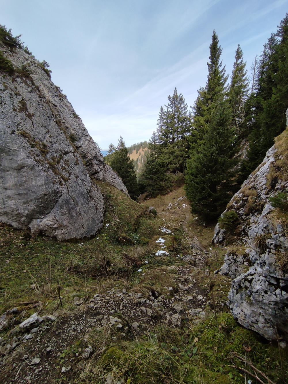 Wanderung Schönberg: Weg
