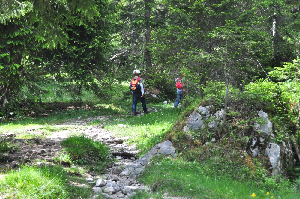 Wanderung Schönberg Gaistal: Aufstieg am Salzbach