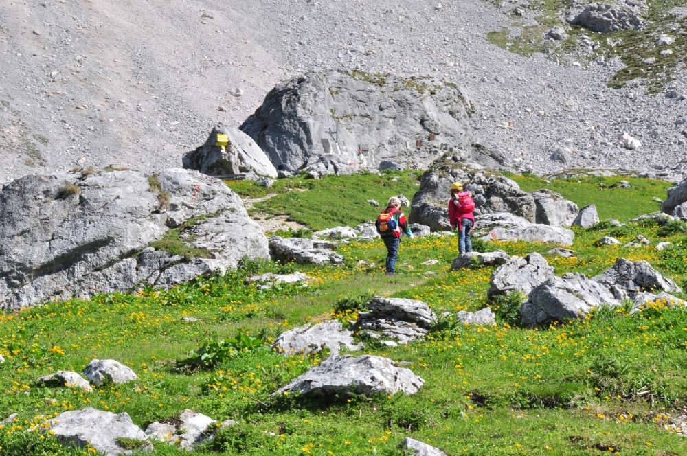 Wanderung Schönberg Gaistal: Aufstieg zum Südwandsteig