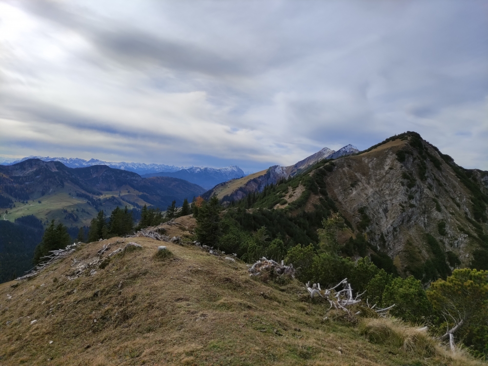 Wanderung Schönfeldjoch: Weg