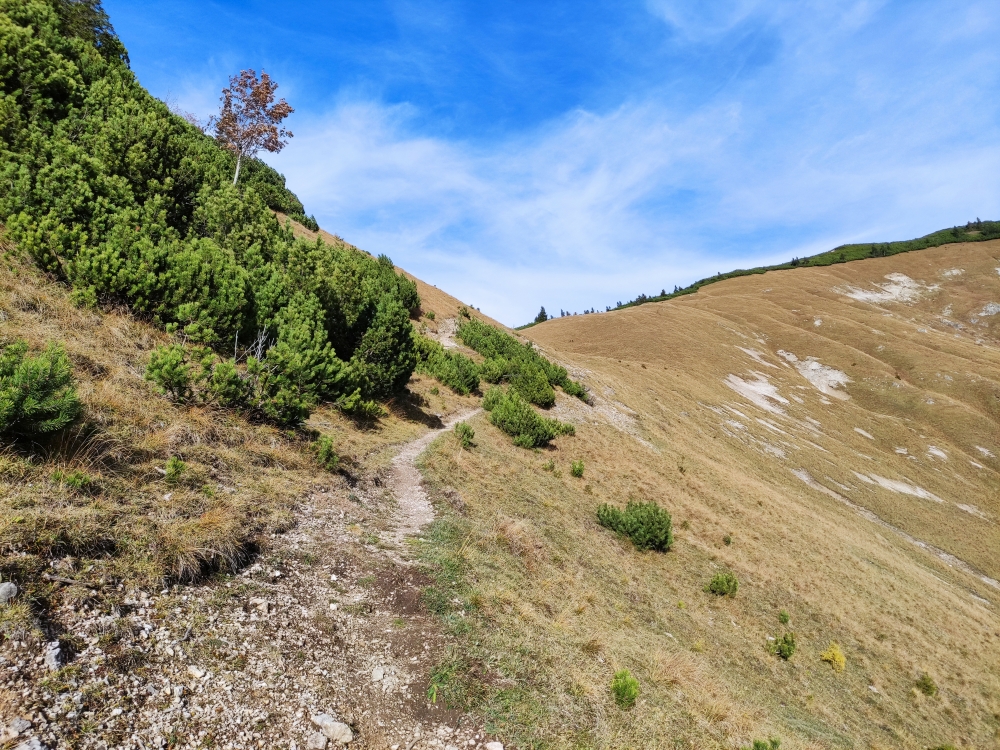 Wanderung Schönfeldjoch: Weg
