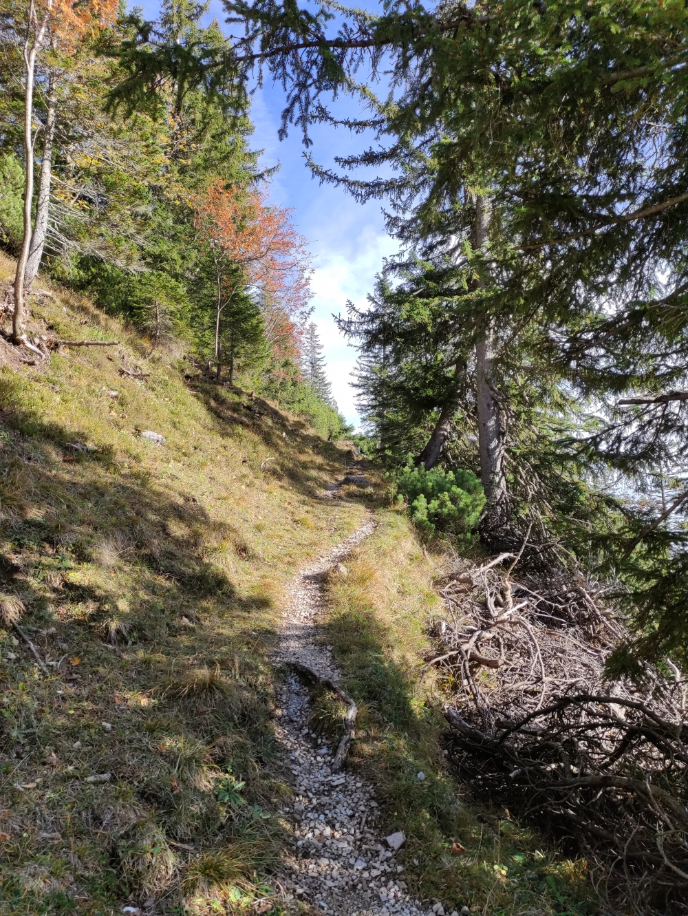 Wanderung Schönfeldjoch: Weg
