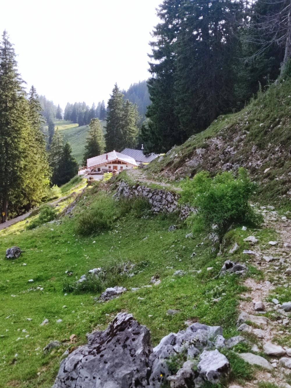 Wanderung Mühlhörndl: Wanderung Mühlhörndl: Schreckalm (Schreck Alm)