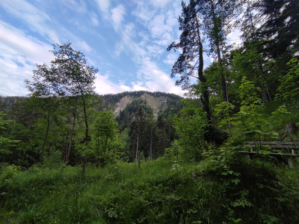 Wanderung Schrofen: Blick zum Gipfelkreuz auf dem Schrofen