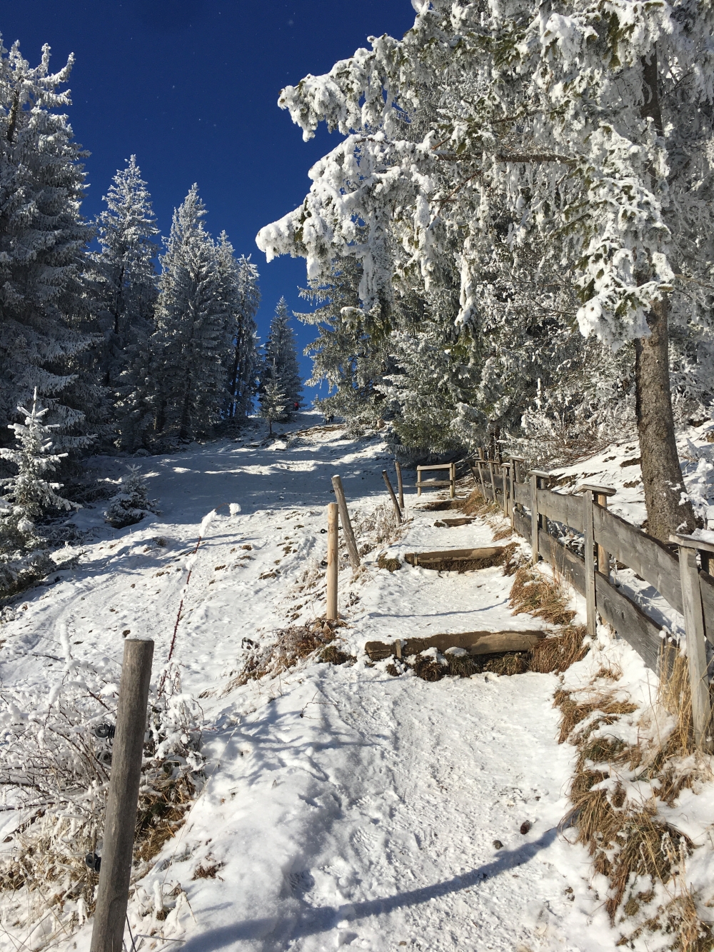 Wanderung Schwarzenberg von Ellbach: Zwischen Alm und Gipfel