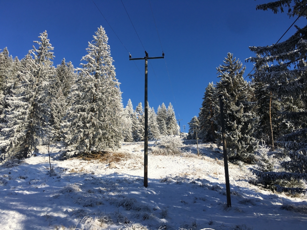 Wanderung Schwarzenberg von Ellbach: Unterhalb der Schwarzenbergalm