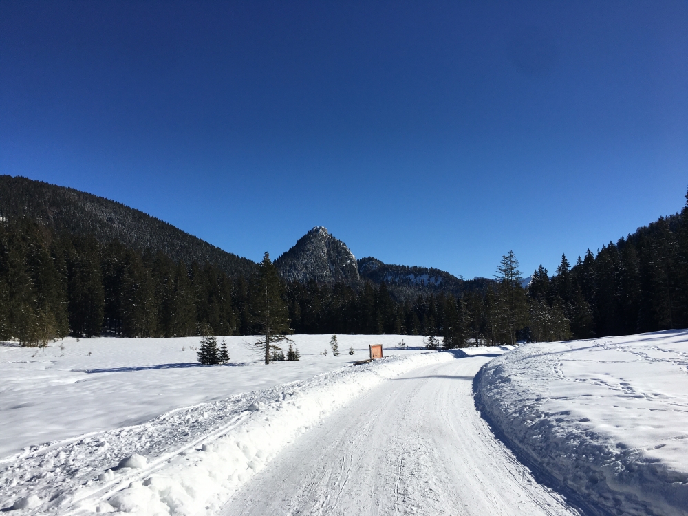 Rodeln Schwarzentenn-Alm Bachweg & Forststraße: Blick auf den Leonhardstein
