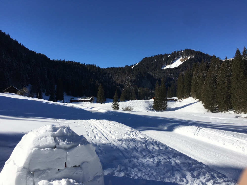 Rodeln Schwarzentenn-Alm Bachweg & Forststraße: Rodeln Schwarzentenn-Alm Bachweg & Forststraße: Schwarzentenn-Alm (Bildmitte) vor dem Mühltaleck (Schwarzentenn Alm)