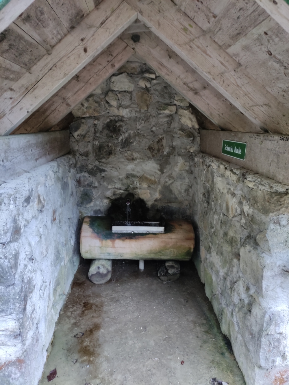Wanderung Farrenpoint: Wanderung Farrenpoint: Schwefelquelle