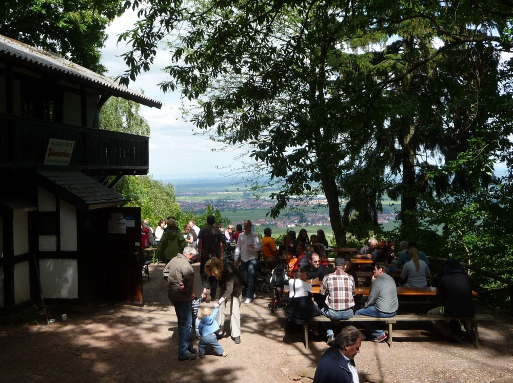 Schweizer Haus -> Landgut Buschmühle: Schweizerhaus (Weyher in der Pfalz)