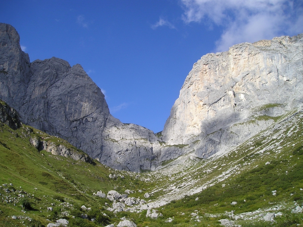 Schweizertor: Schweizertor