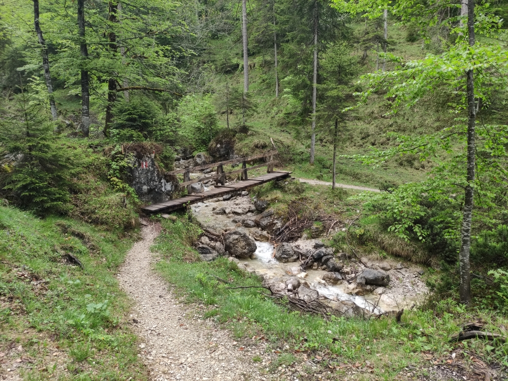 Wanderung Seekarspitze und Seebergspitze : Hier beginnt der Steig