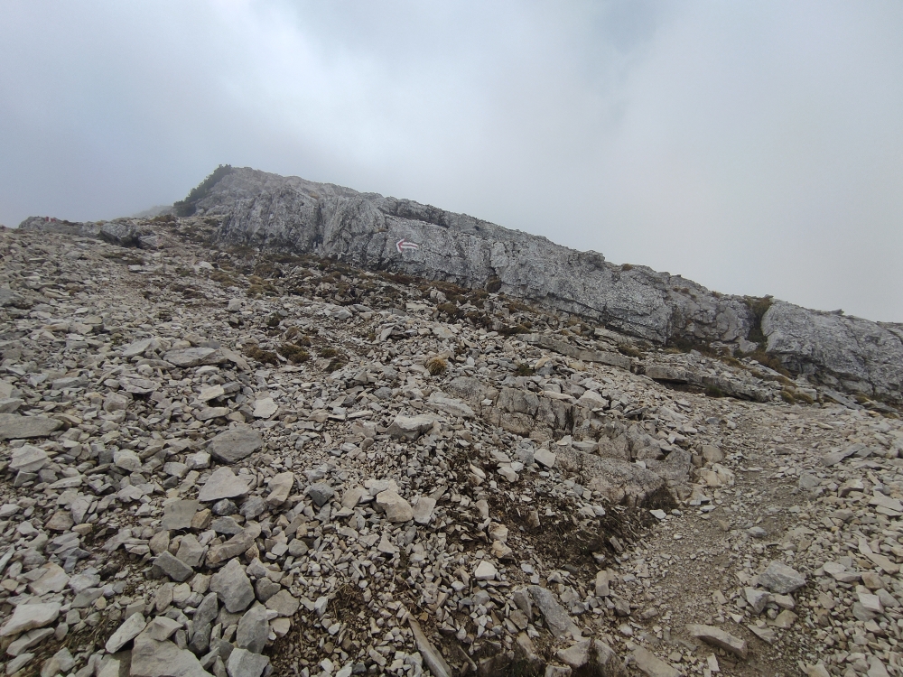 Wanderung Seekarspitze und Seebergspitze : Eigentlich ohne Kletterstellen