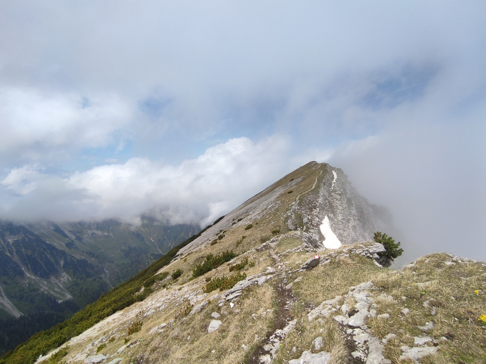 Wanderung Seekarspitze und Seebergspitze : Der Gratweg